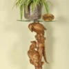 Casa Padrino Barock Beistelltisch Papagei mit Glasplatte H. 62 cm - Barock Deko Möbel