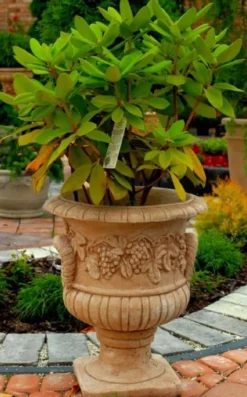 Casa Padrino Barock Blumentopf Beige Ø 44 x H. 51 cm - Blumenkübel - Pflanzkübel - Gartendeko Accessoires
