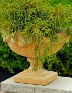 Casa Padrino Barock Blumentopf Beige Ø 46 x H. 33 cm - Runder Pflanzentopf im Barockstil - Barock Garten & Terrassen Deko
