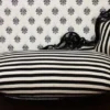 Casa Padrino Barock Chaiselongue King im Streifenmuster Schwarz Weiß mit schwarzem Massivholzrahmen 155 x 70 x 100 cm