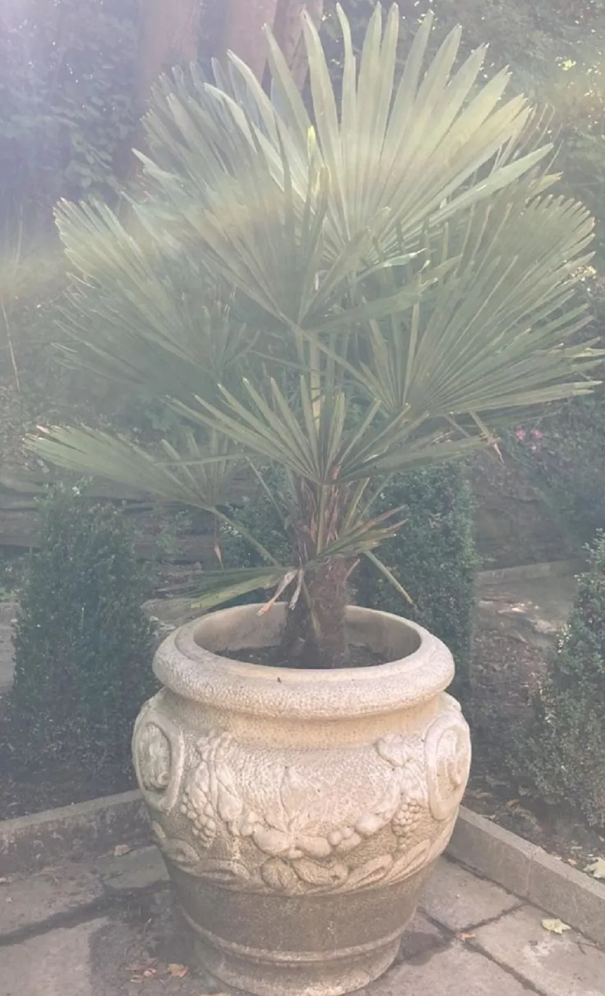 Casa Padrino Barock Garten Deko Blumentopf Weiß Ø 59 x H. 66 cm - Prunkvoller Pflanzentopf im Barockstil - Barock Garten & Terrassen Deko Accessoires