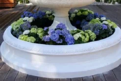 Casa Padrino Barock Springbrunnen Umrandung Weiß Ø 240 x H. 38 cm - Prunkvolle Gartenbrunnen Umrandung - Barockstil Brunnen Umrandung - Gartendeko im Barockstil - Barock Garten Accessoires