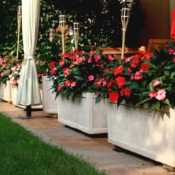 Casa Padrino Beton Blumenkübel Rosa 82 x 42 x H. 44 cm - Rechteckiger Beton Pflanzkübel