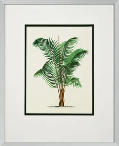 Casa Padrino Bilder / Kunstdruck 4er Set Palmen Mehrfarbig 43 x H. 53 cm - Luxus Deko