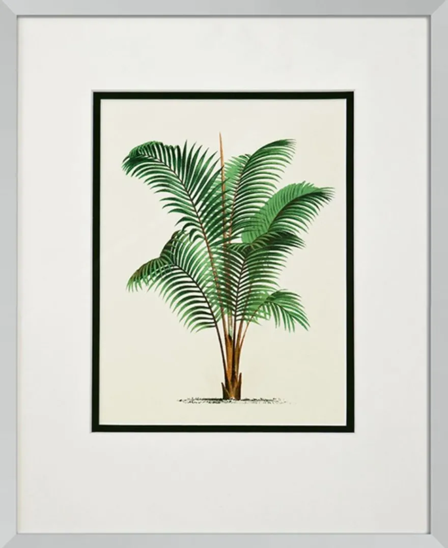 Casa Padrino Bilder / Kunstdruck 4er Set Palmen Mehrfarbig 43 x H. 53 cm - Luxus Deko