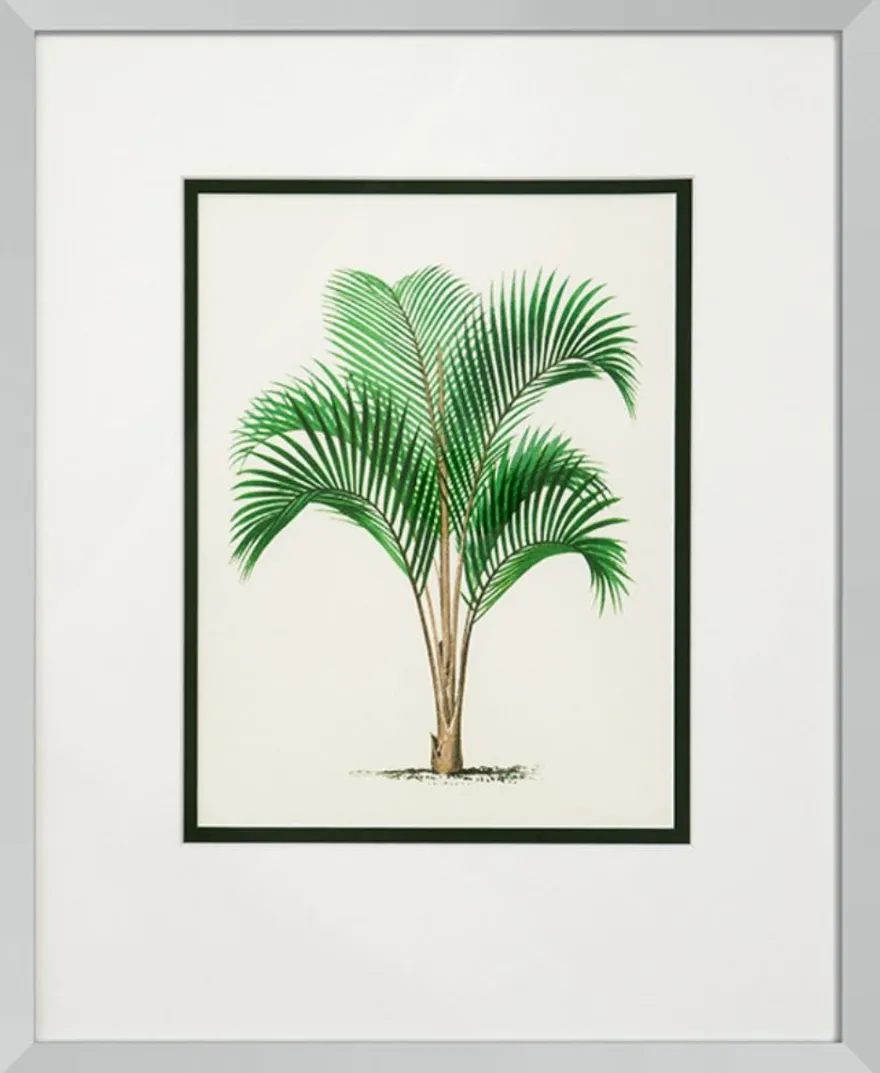 Casa Padrino Bilder / Kunstdruck 4er Set Palmen Mehrfarbig 43 x H. 53 cm - Luxus Deko