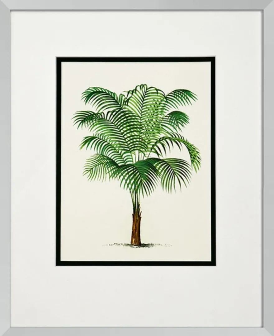 Casa Padrino Bilder / Kunstdruck 4er Set Palmen Mehrfarbig 43 x H. 53 cm - Luxus Deko