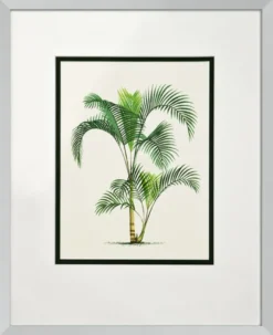 Casa Padrino Bilder / Kunstdruck 4er Set Palmen Mehrfarbig 43 x H. 53 cm - Luxus Deko