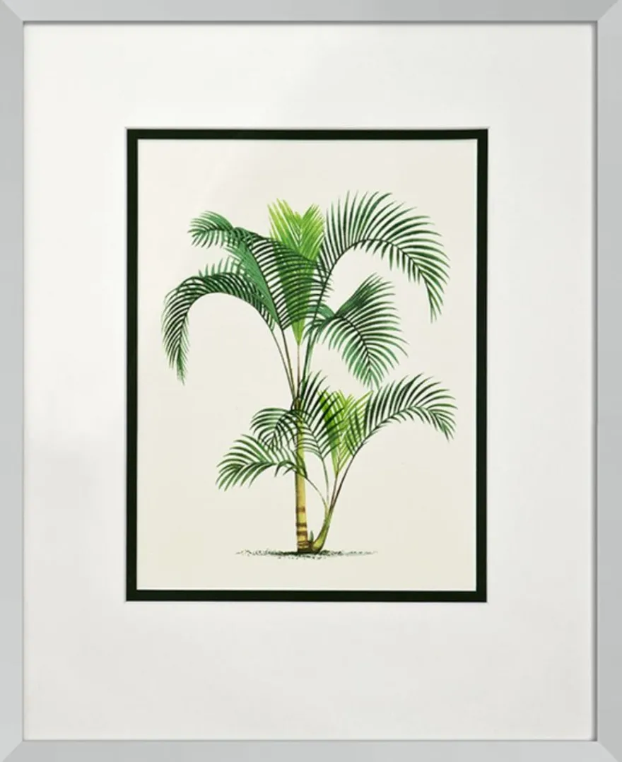 Casa Padrino Bilder / Kunstdruck 4er Set Palmen Mehrfarbig 43 x H. 53 cm - Luxus Deko