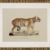 Casa Padrino Deko Bilder Set Löwen Tiger Jaguare Antik Gold 54 x H. 44 cm - Luxus Wanddekoration