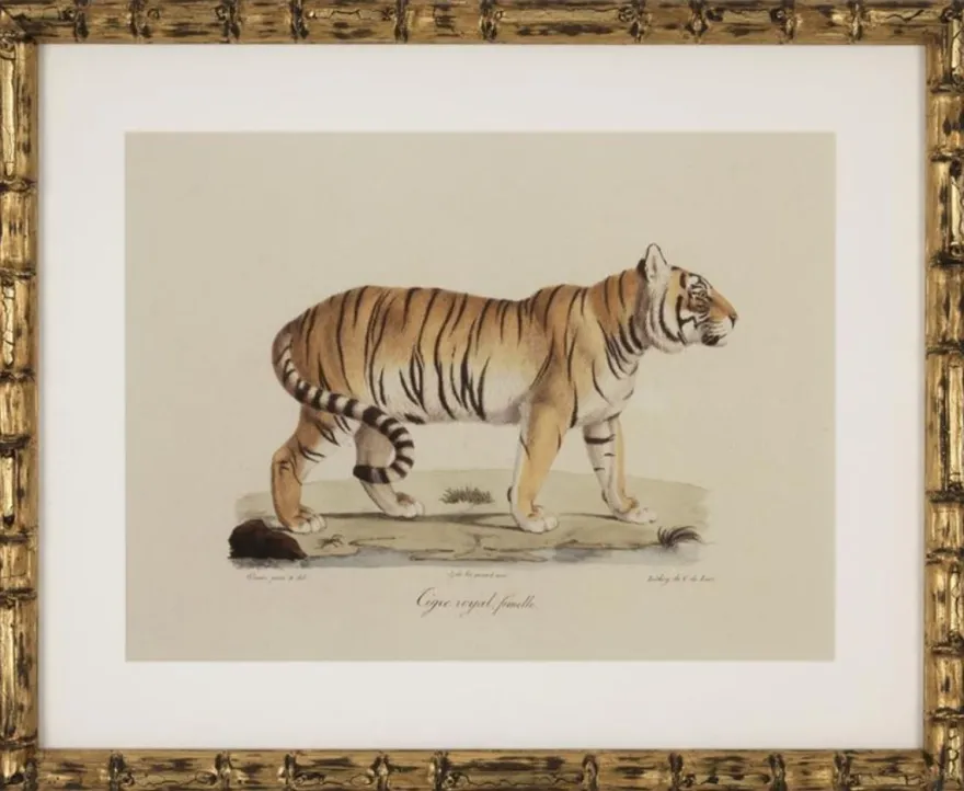 Casa Padrino Deko Bilder Set Löwen Tiger Jaguare Antik Gold 54 x H. 44 cm - Luxus Wanddekoration