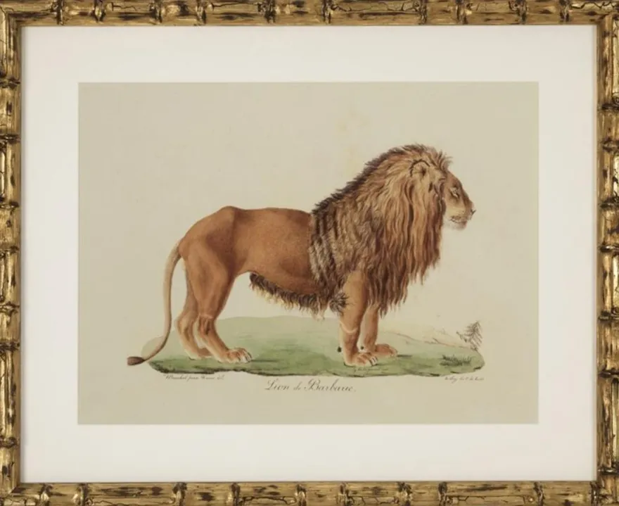 Casa Padrino Deko Bilder Set Löwen Tiger Jaguare Antik Gold 54 x H. 44 cm - Luxus Wanddekoration