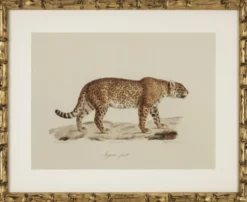 Casa Padrino Deko Bilder Set Löwen Tiger Jaguare Antik Gold 54 x H. 44 cm - Luxus Wanddekoration