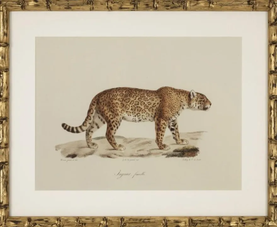 Casa Padrino Deko Bilder Set Löwen Tiger Jaguare Antik Gold 54 x H. 44 cm - Luxus Wanddekoration