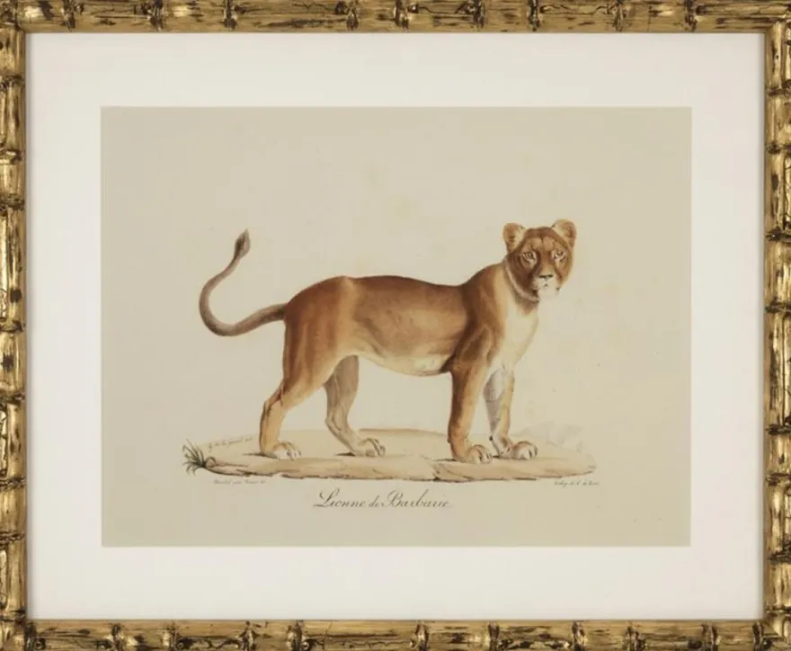 Casa Padrino Deko Bilder Set Löwen Tiger Jaguare Antik Gold 54 x H. 44 cm - Luxus Wanddekoration