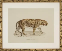 Casa Padrino Deko Bilder Set Löwen Tiger Jaguare Antik Gold 54 x H. 44 cm - Luxus Wanddekoration