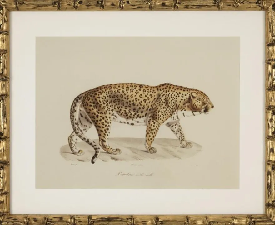 Casa Padrino Deko Bilder Set Löwen Tiger Jaguare Antik Gold 54 x H. 44 cm - Luxus Wanddekoration