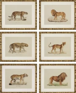 Casa Padrino Deko Bilder Set Löwen Tiger Jaguare Antik Gold 54 x H. 44 cm - Luxus Wanddekoration