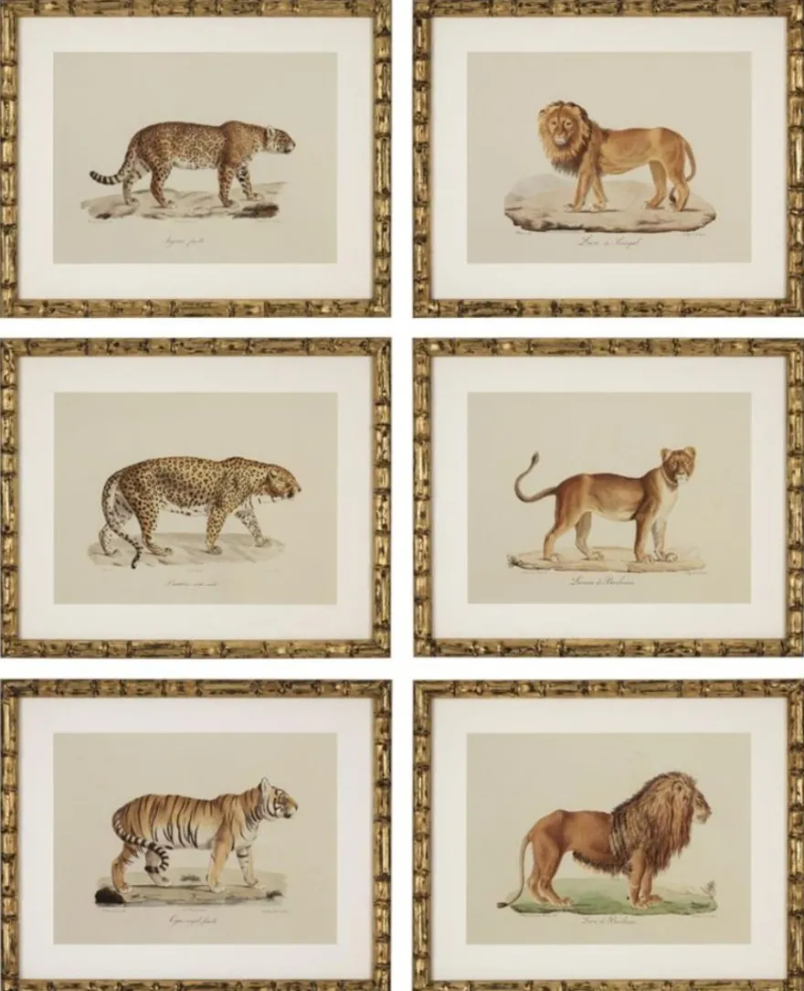 Casa Padrino Deko Bilder Set Löwen Tiger Jaguare Antik Gold 54 x H. 44 cm - Luxus Wanddekoration
