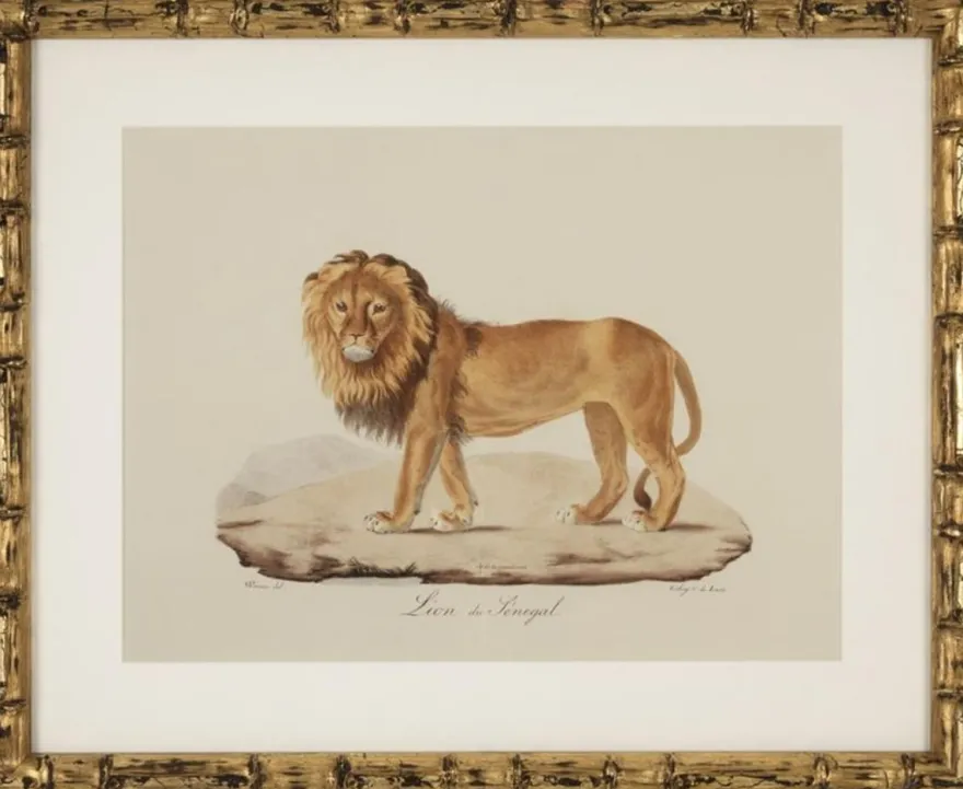 Casa Padrino Deko Bilder Set Löwen Tiger Jaguare Antik Gold 54 x H. 44 cm - Luxus Wanddekoration