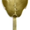 Casa Padrino Designer Bronze Skulptur Kopf 21,4 x 22,4 x H. 47 cm - Deko Figur mit Marmorsockel - Wohnzimmer Deko - Schreibtisch Deko