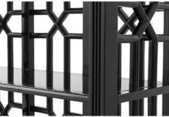 Casa Padrino Designer Mahagoni Regalschrank Piano Schwarz - Luxus Qualität
