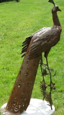 Casa Padrino Gartendeko Skulptur Pfau Rostfarben 50 x 75 x H. 118 cm - Elegante Gartendeko Figur - Wetterbeständige Gartenfigur