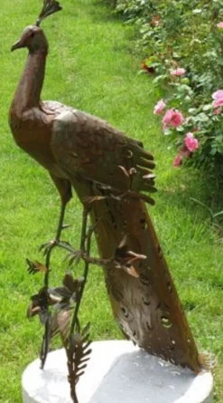 Casa Padrino Gartendeko Skulptur Pfau Rostfarben 50 x 75 x H. 118 cm - Elegante Gartendeko Figur - Wetterbeständige Gartenfigur