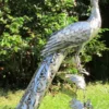 Casa Padrino Gartendeko Skulptur Pfau Silber 50 x 75 x H. 118 cm - Elegante Edelstahl Gartendeko Figur - Wetterbeständige Gartenfigur