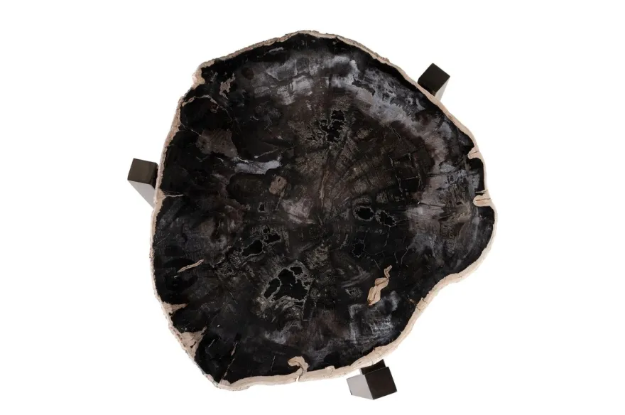 Casa Padrino Luxus Beistelltisch Braun 65 x 65 x H. 67 cm - Beistelltisch mit Tischplatte aus versteinertem Holz und Edelstahlfuß - Luxus Möbel