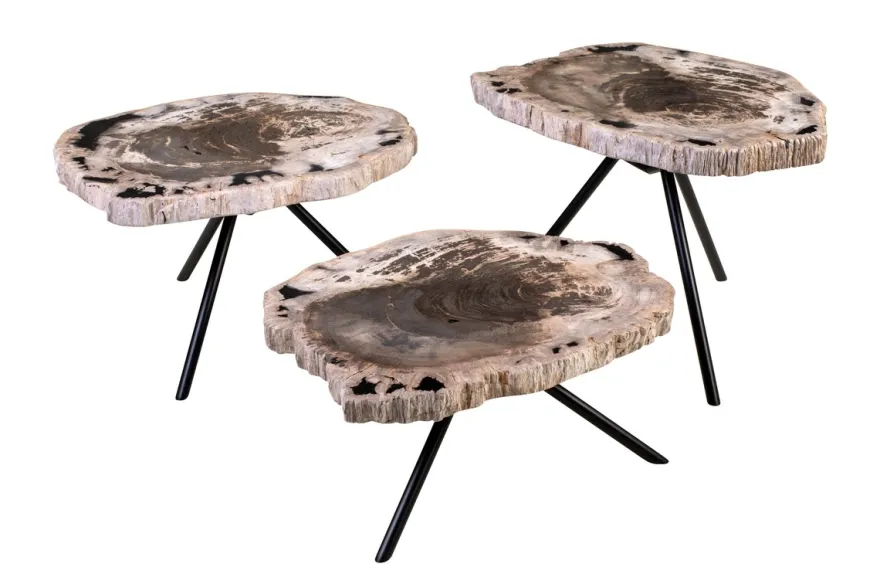 Casa Padrino Luxus Beistelltisch 3er Set Braun - Tische aus versteinertem Holz H. 25 / 33 / 40 cm - Luxus Möbel