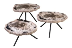 Casa Padrino Luxus Beistelltisch 3er Set Braun - Tische aus versteinertem Holz H. 25 / 33 / 40 cm - Luxus Möbel