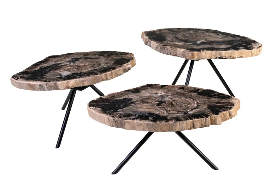Casa Padrino Luxus Beistelltisch 3er Set Braun - Tische aus versteinertem Holz H. 25 / 33 / 40 cm - Luxus Möbel
