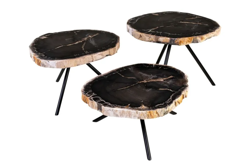 Casa Padrino Luxus Beistelltisch 3er Set Braun - Tische aus versteinertem Holz H. 25 / 33 / 40 cm - Luxus Möbel