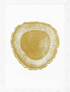 Casa Padrino Luxus Bilder Set Baumscheiben Jahresringe Weiß / Gold 61,5 x H. 82 cm - Kunstdrucke - Wandbilder - Wanddeko - Deko Accessoires