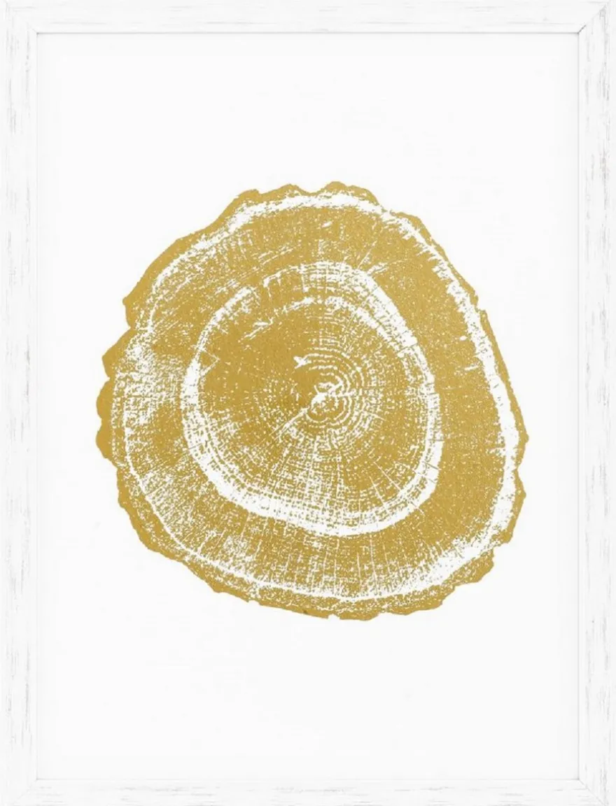 Casa Padrino Luxus Bilder Set Baumscheiben Jahresringe Weiß / Gold 61,5 x H. 82 cm - Kunstdrucke - Wandbilder - Wanddeko - Deko Accessoires