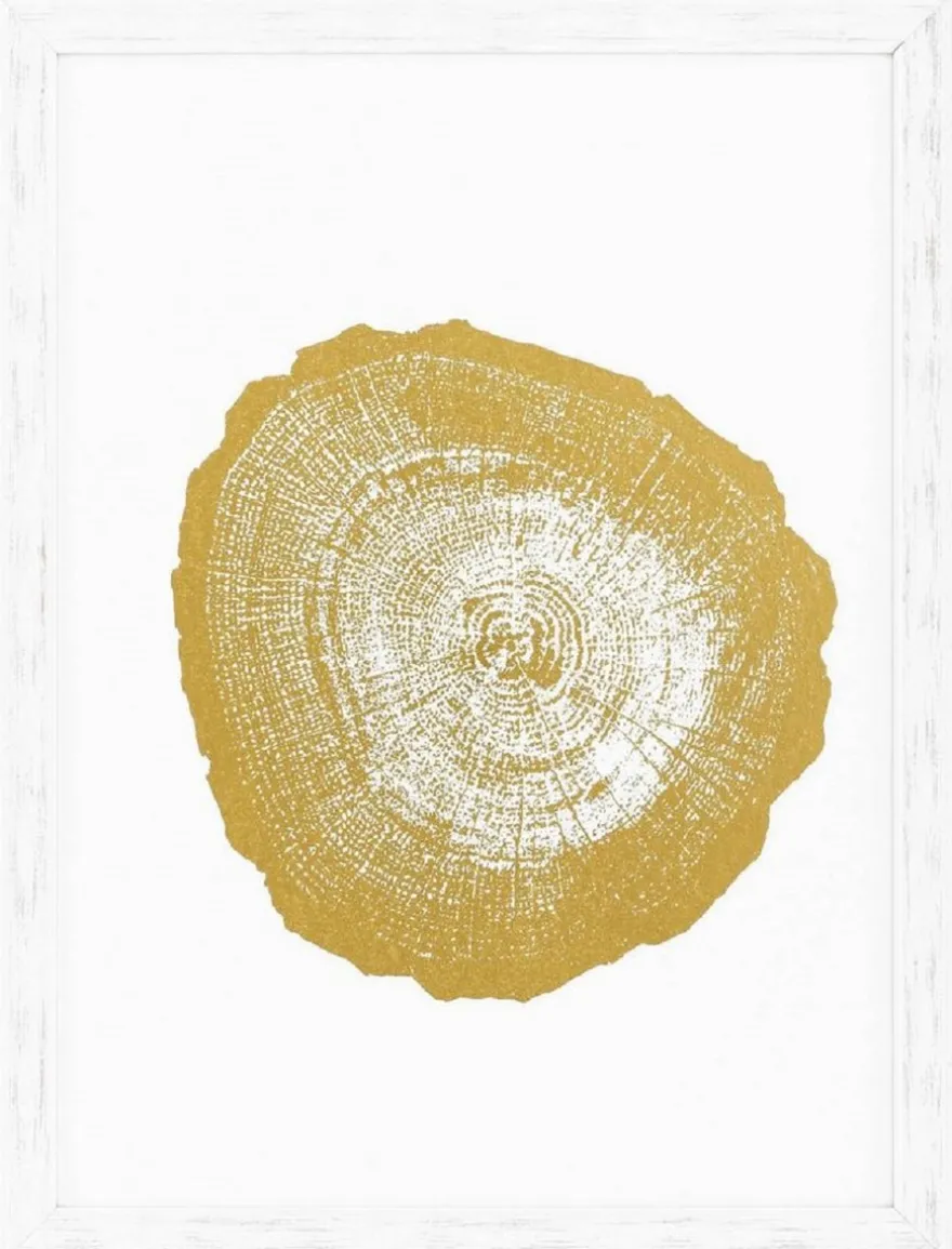 Casa Padrino Luxus Bilder Set Baumscheiben Jahresringe Weiß / Gold 61,5 x H. 82 cm - Kunstdrucke - Wandbilder - Wanddeko - Deko Accessoires