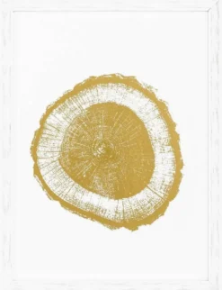 Casa Padrino Luxus Bilder Set Baumscheiben Jahresringe Weiß / Gold 61,5 x H. 82 cm - Kunstdrucke - Wandbilder - Wanddeko - Deko Accessoires