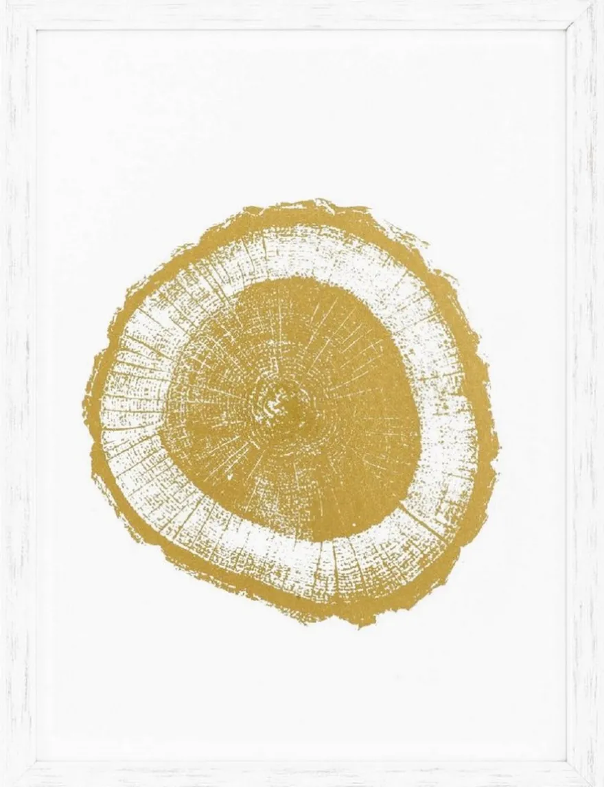 Casa Padrino Luxus Bilder Set Baumscheiben Jahresringe Weiß / Gold 61,5 x H. 82 cm - Kunstdrucke - Wandbilder - Wanddeko - Deko Accessoires