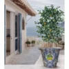 Casa Padrino Luxus Blumentopf Blau / Weiß / Bunt Ø 80 x H. 63 cm - Garten Deko