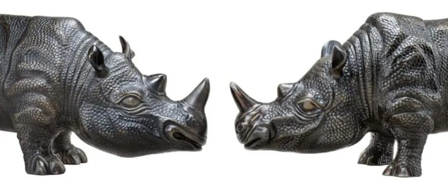 Casa Padrino Luxus Bronzefiguren 2er Set Nashörner 15 x 44,5 x H. 20 cm - Edel & Prunkvoll
