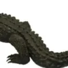Casa Padrino Luxus Bronzefigur Krokodil Bronzefarben 180 x 90 x H. 65 cm - Luxus Bronze Skulptur - Dekofigur - Luxus Qualität