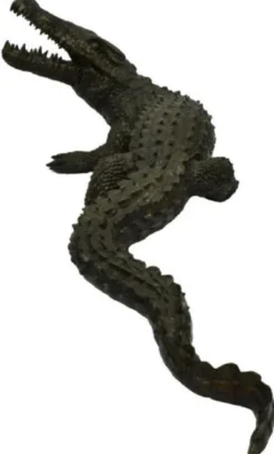Casa Padrino Luxus Bronzefigur Krokodil Bronzefarben 180 x 90 x H. 65 cm - Luxus Bronze Skulptur - Dekofigur - Luxus Qualität
