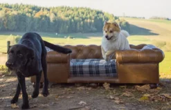 Casa Padrino Luxus Chesterfield Leder Hundebett Vintage Braun / Dunkelbraun / Mehrfarbig 134 x 104 x H. 37 cm - Rechteckiges Echtleder Hundebett - Luxus Chesterfield Leder Tiermöbel