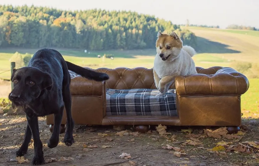 Casa Padrino Luxus Chesterfield Leder Hundebett Vintage Braun / Dunkelbraun / Mehrfarbig 134 x 104 x H. 37 cm - Rechteckiges Echtleder Hundebett - Luxus Chesterfield Leder Tiermöbel