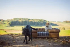 Casa Padrino Luxus Chesterfield Leder Hundebett Vintage Braun / Dunkelbraun / Mehrfarbig 134 x 104 x H. 37 cm - Rechteckiges Echtleder Hundebett - Luxus Chesterfield Leder Tiermöbel