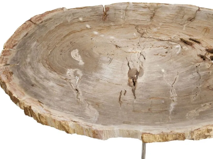 Casa Padrino Luxus Couchtisch Naturfarben / Silber 115 x 68 x H. 35 cm - Edler Wohnzimmertisch mit versteinerter Holz Tischplatte und Edelstahl Beinen - Luxus Wohnzimmer Möbel