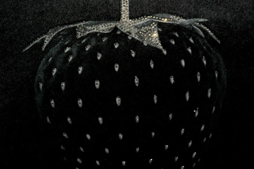 Casa Padrino Luxus Deko Kissen Strawberry mit Bling Bling Glitzersteinen Schwarz / Silber 45 x 45 cm - Feinster Samtstoff - Luxus Deko Accessoires