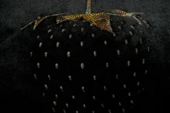 Casa Padrino Luxus Deko Kissen Strawberry mit Bling Bling Glitzersteinen Schwarz / Gold 35 x 55 cm - Feinster Samtstoff - Luxus Deko Accessoires