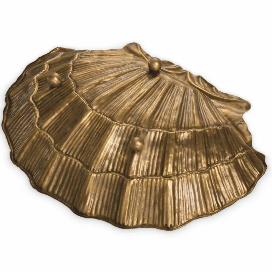 Casa Padrino Luxus Deko Schale in Muschelform Vintage Messing 52,5 cm - Deko Accessoires